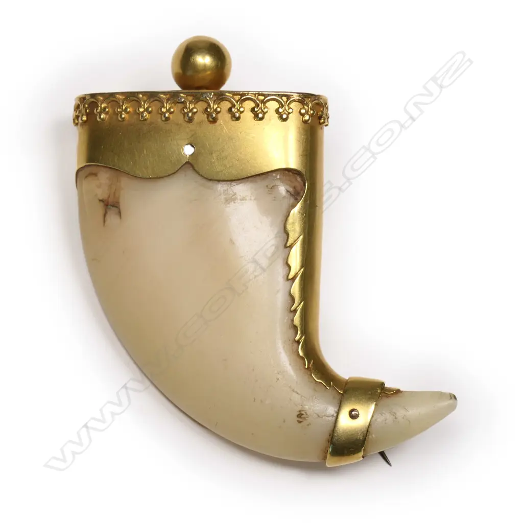 A 19thC H. Kohn & L.N. Benjamin 18ct gold mounted large lion's claw brooch, Image 1++